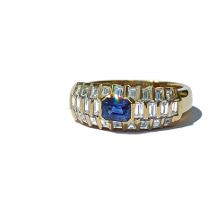ANELLO art. 286